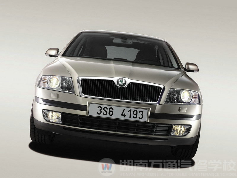 斯柯达 - 欧雅系列