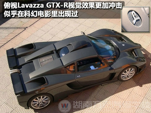 法拉利恩佐混血儿