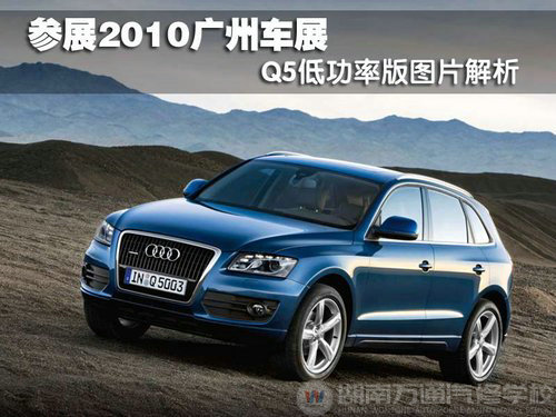 参展2010广州车展 Q5低功率版图片解析