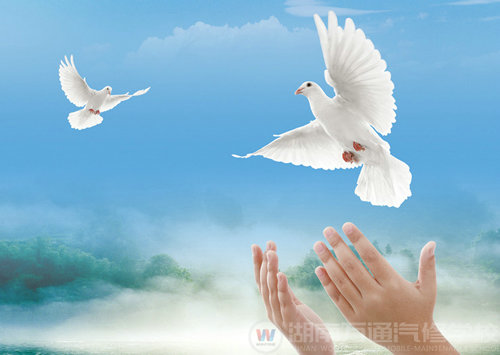 湖南万通 梦想起航的地方