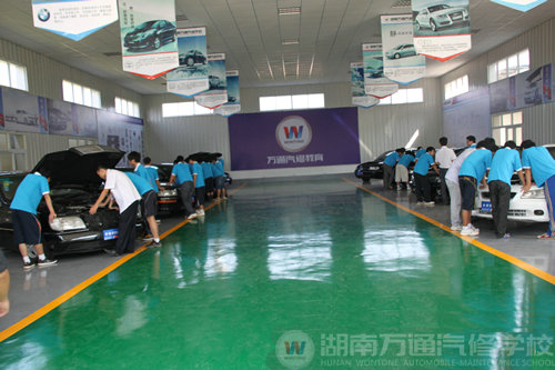 迈入汽车创新强国 人才培养是关键