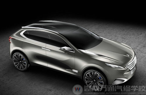 身长5米对抗奥迪Q7 标致将推6008车型