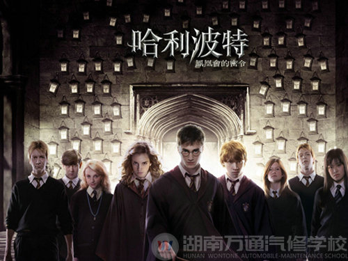 和《哈利波特》一起 玩转万通魔法棒
