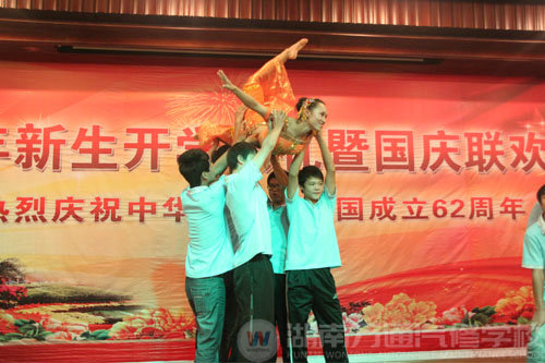 美丽凤凰