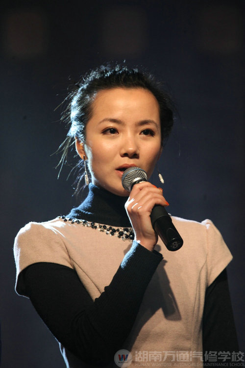 受过国王接见的神秘女主角