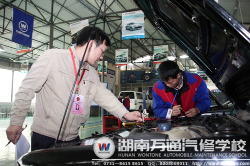 万通学子实践中