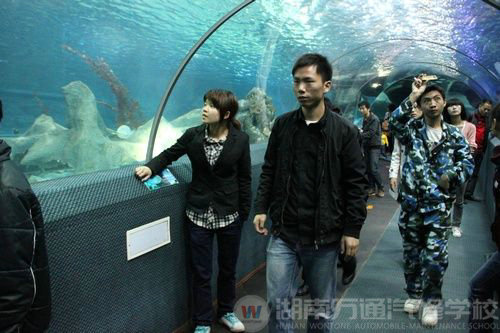 湖南万通学子参观海底世界