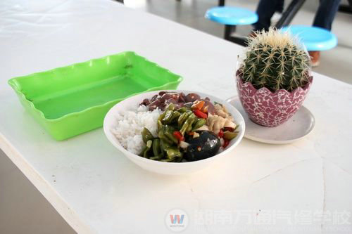 湖南万通干净的饭菜