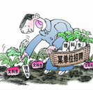 填志愿指南：文科生报什么专业才能“毕业不失业”？