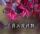 三月入学计划：抢大学补录名额，夺政府助学基金！