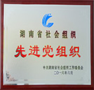 湖南省社会组织祝中国共产党成立95周年暨 “七一”表彰大会召开