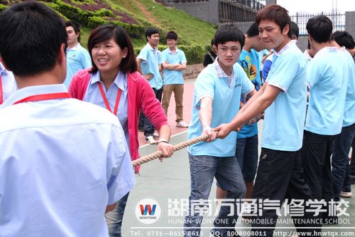 爱就是教育 没有爱便没有教育—记湖南万通优秀班主任陈凤娇