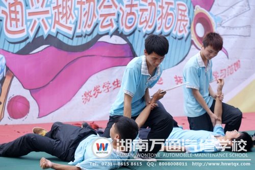 武术表演