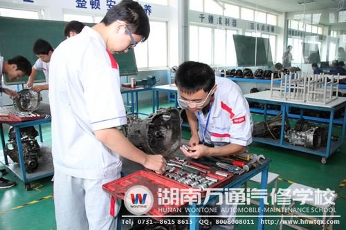 湖南万通为学子提供多种实践机会，让他们在毕业后适应企业需求