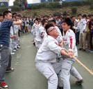 “心的凝聚 力的较量” 校园拔河比赛强势来袭！