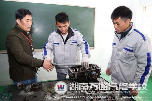 蒋胡华与堂哥蒋林军一起实践