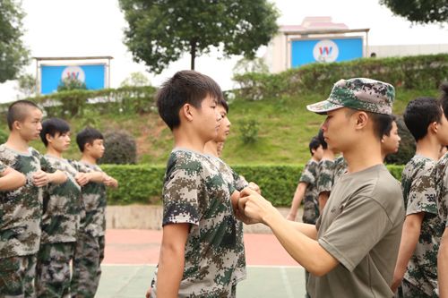 退伍了，学什么技术好呢？