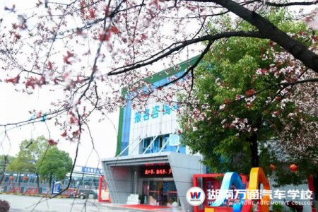 你的『偏见』可能会耽误孩子的未来！