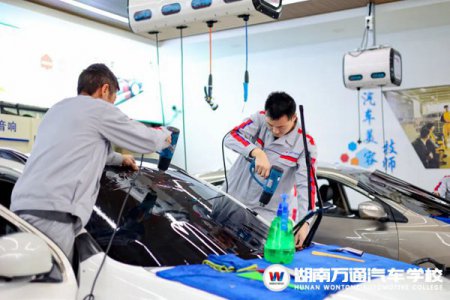 学什么技术最适合创业？用真实数据告诉你！
