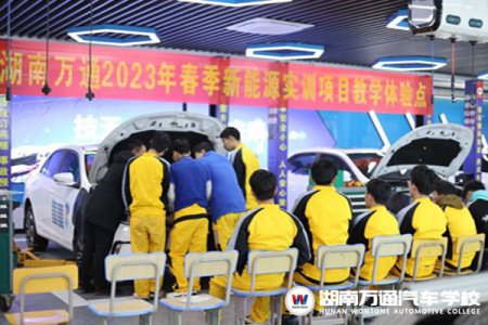 直击开学现场！欢迎回家，有你真好~附赠《开学收心指南》