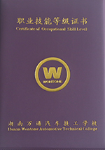 国家职业资格一级证书
