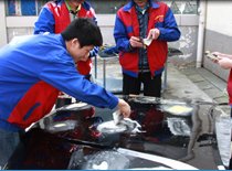 ������ͨ������װ