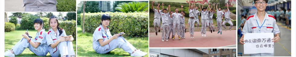 ������ͨ����