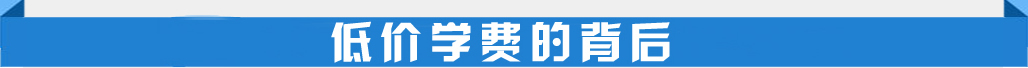 低价学费的背后